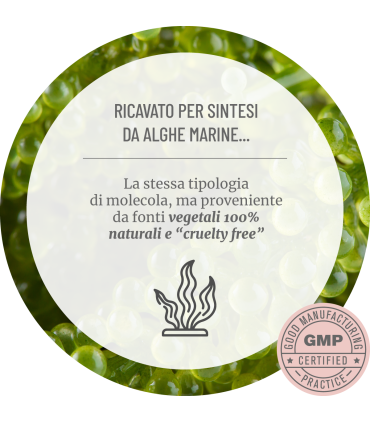 Acido ialuronico, collagene naturale - Skin care vegano