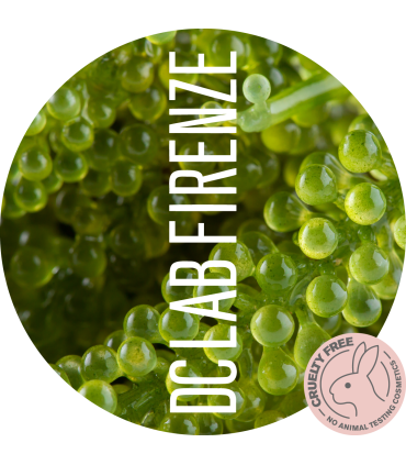 Acido ialuronico, collagene naturale - Skin care vegano